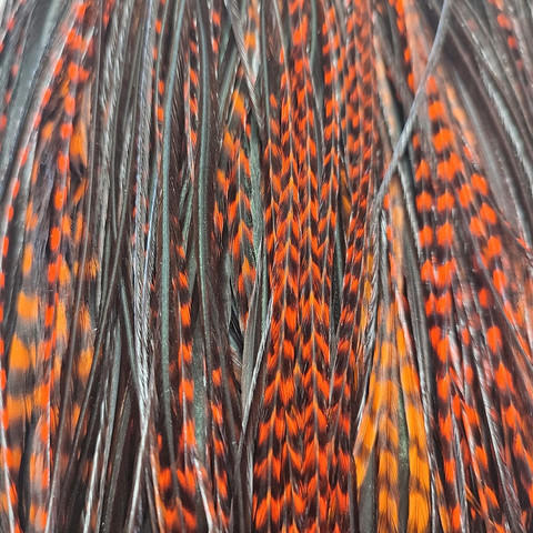 Перо петуха. Цвет: Оранж-вариант, 20-35см, Из седла Whiting. 10 отдельных перьев