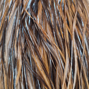 Перья петуха. Цвет: коричневый/т.коричневый, от 20см, 10 отдельных перьев из седла Whiting